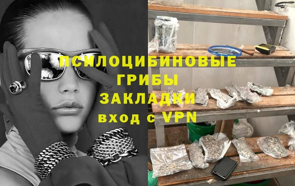 индика Мещовск