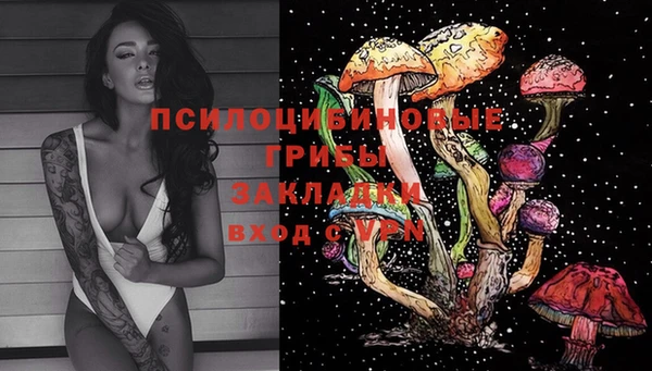 крисы Заводоуковск