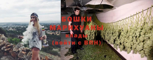 крисы Заводоуковск